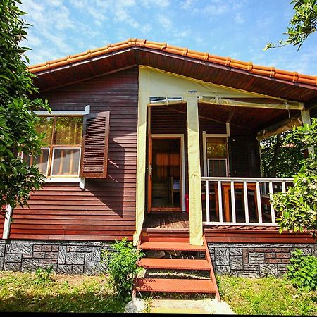 Sunrise Bungalows Cirali Bagian luar foto