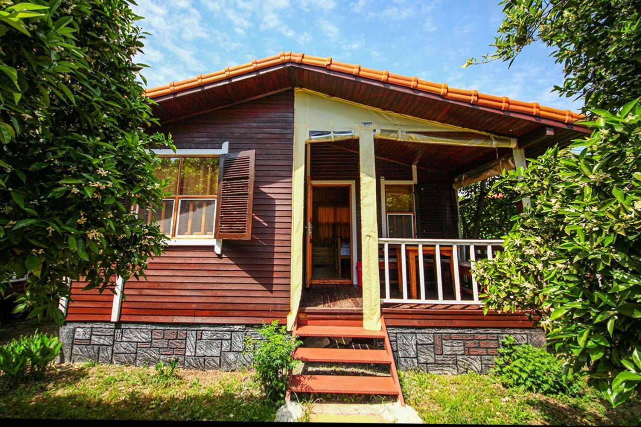 Sunrise Bungalows Cirali Bagian luar foto