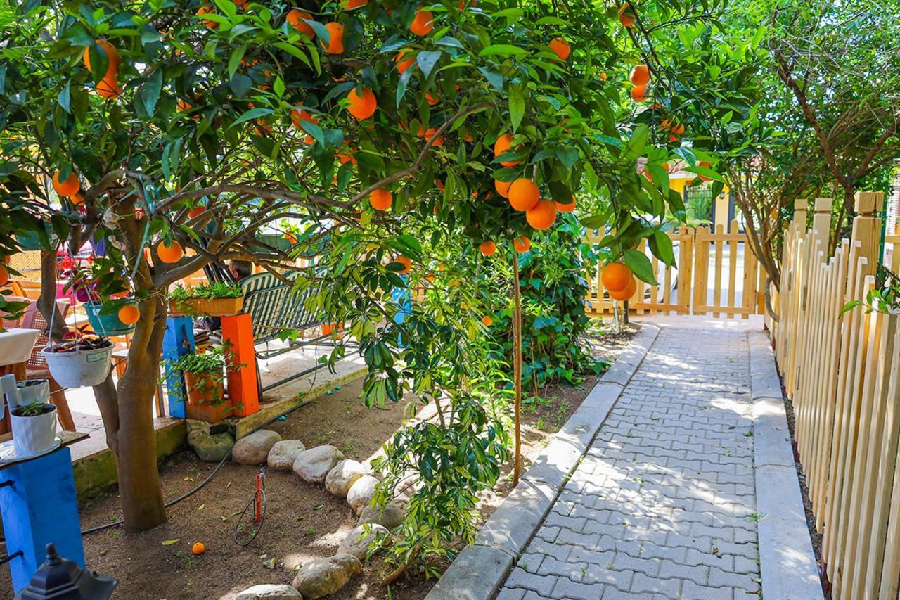 Sunrise Bungalows Cirali Bagian luar foto