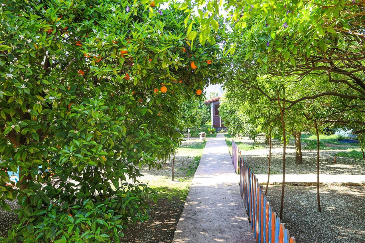 Sunrise Bungalows Cirali Bagian luar foto