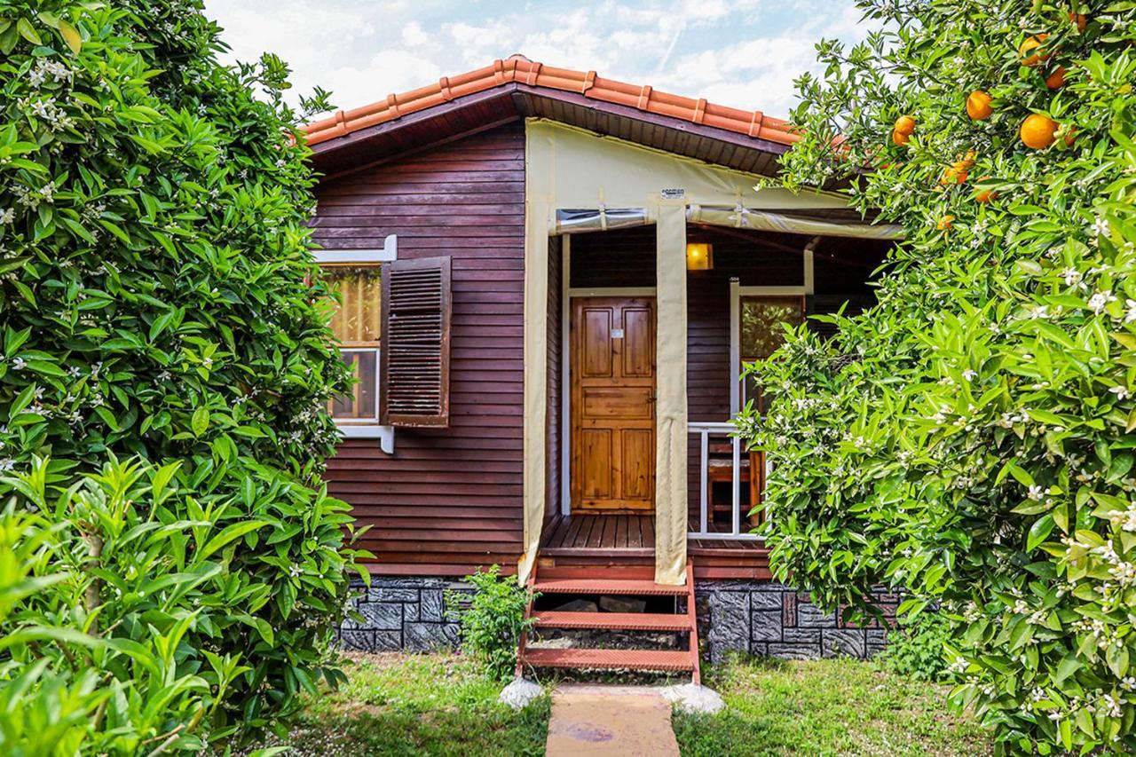 Sunrise Bungalows Cirali Bagian luar foto
