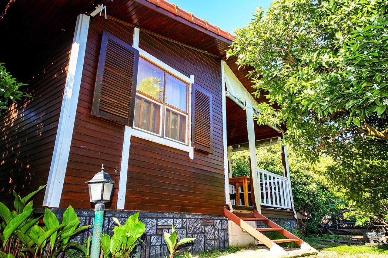 Sunrise Bungalows Cirali Bagian luar foto