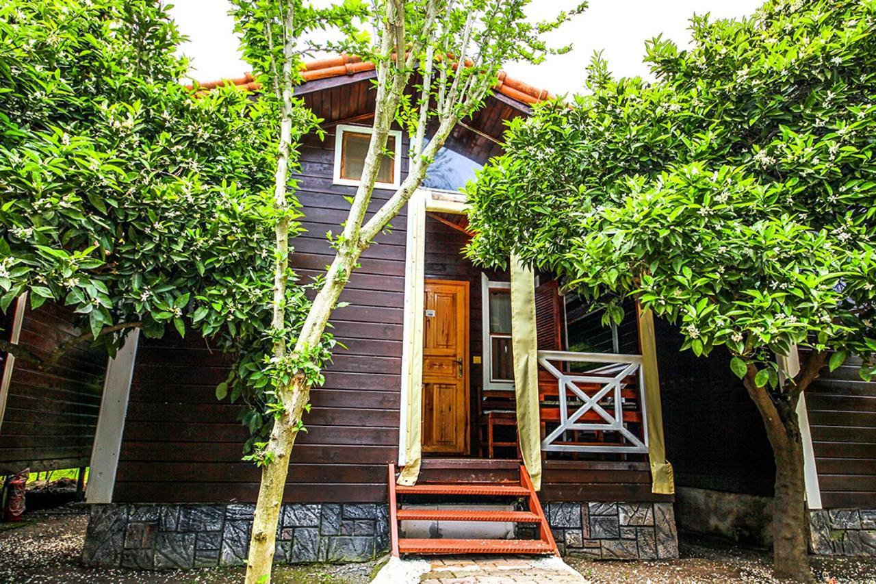 Sunrise Bungalows Cirali Bagian luar foto