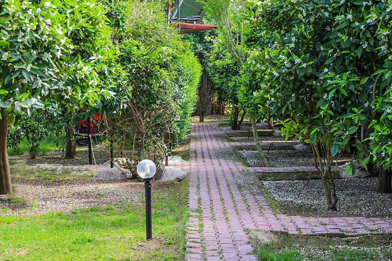 Sunrise Bungalows Cirali Bagian luar foto